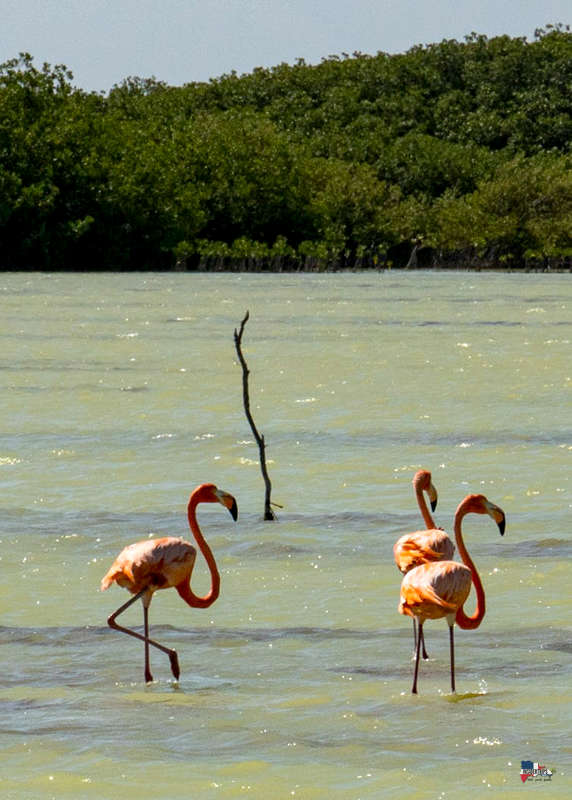 Cabo Rojo Pedernales InsiderTrips